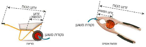 (בספר איור, היעזר במנחה)